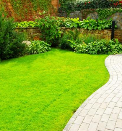 Professioneller Gartenservice in Cloppenburg