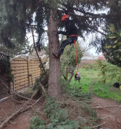 Zuverlässige Objektbetreuung mit Gartenpflege Salzlandkreis, Komplettservice