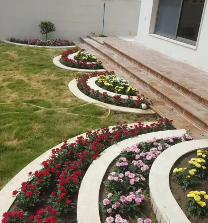 Günstige Gartenpflege für Heckenschnitt und Rasen in Trier