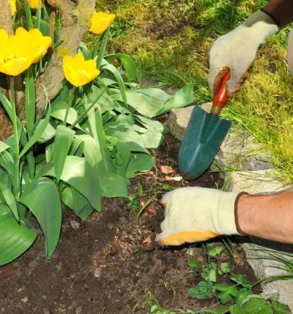 Schöne Gartengestaltung Weidenstetten, Alb-Donau