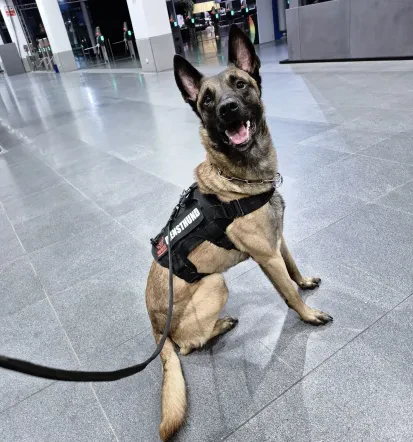 Beste Veranstaltungssicherheit auch für größere Events, München und Umgebung
