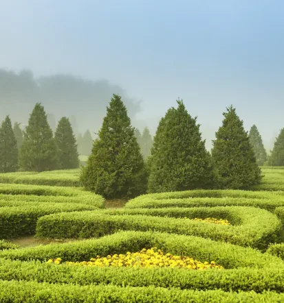 Die beste Gartengestaltung und Gartenpflege in Gummersbach und Umgebung