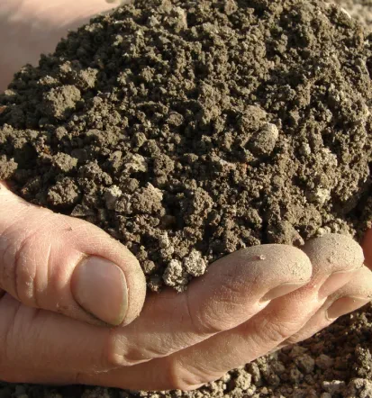 Unternehmen für professionellen Gartenbau in Wiesbaden und Umgebung