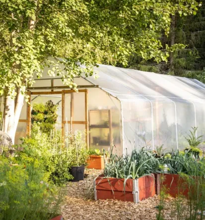Gute Gartenpflege im Main-Kinzig-Kreis