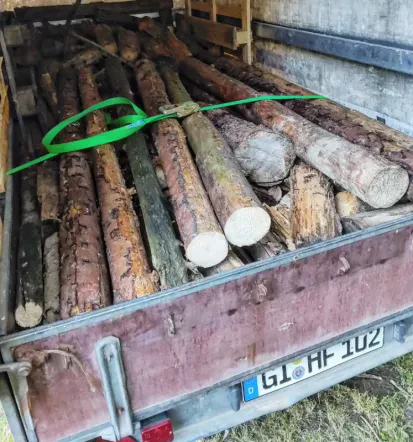Fachgerechter Gartenservice in Gießen