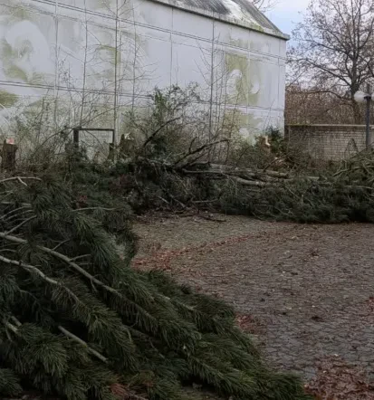 Winterdienst Morbach schnell und zuverlässig