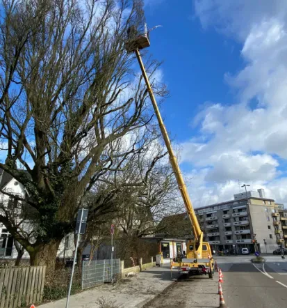 Hochwertige Garten- und Landschaftspflege in Lübeck und Umgebung
