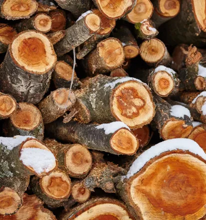 Gutes Brennholz in Obergebra und Umgebung