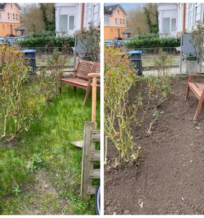 Gute Garten- und Landschaftspflege in Lübeck und Umgebung