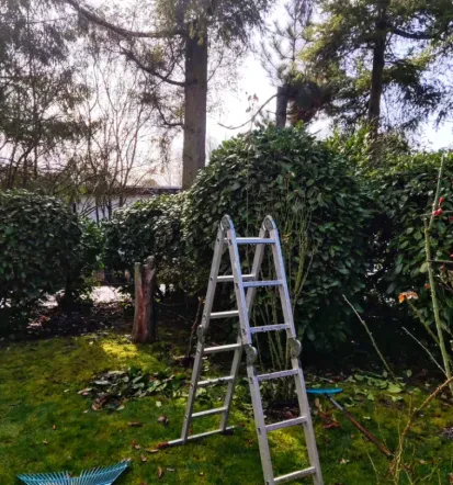 Schneller Gartenservice in Gießen