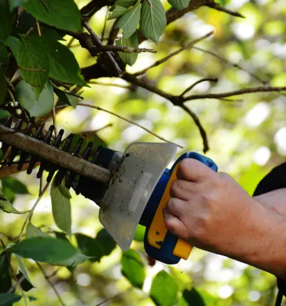 Fachgerechte Gartenpflege im Main-Kinzig-Kreis