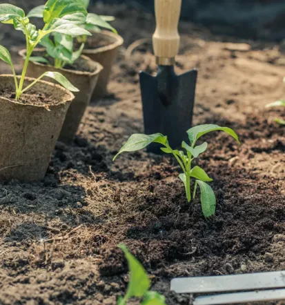 Profis für Galabau und Gartenpflege in Itzehoe, Schleswig Holstein