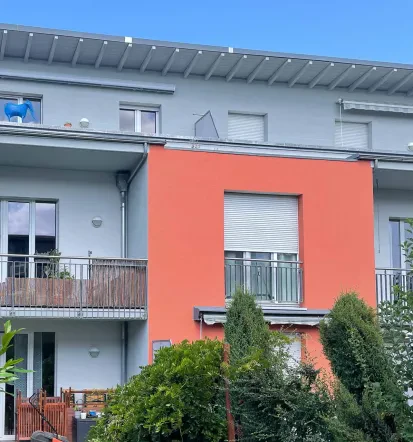 Professionelle Schimmelsanierung und Fassadenrenovierung in Regensburg und Umgebung