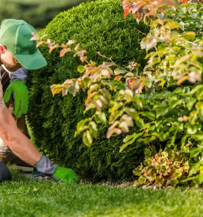 Guter Hausgartenservice im Landkreis Karlsruhe, Rastatt, Baden Baden