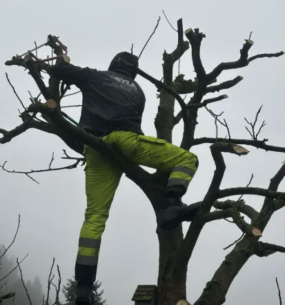 Zuverlässiger Hausmeisterservice und Objektbetreuung Rheinland-Pfalz