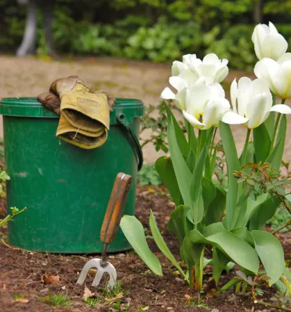 Profis für Gartengestaltung in Roßdorf bei Darmstadt