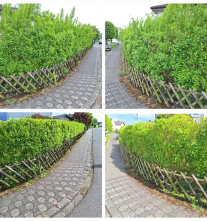 Professionelle und hochwertige Neubepflanzung und Gartenpflege, Sohren und Umgebung