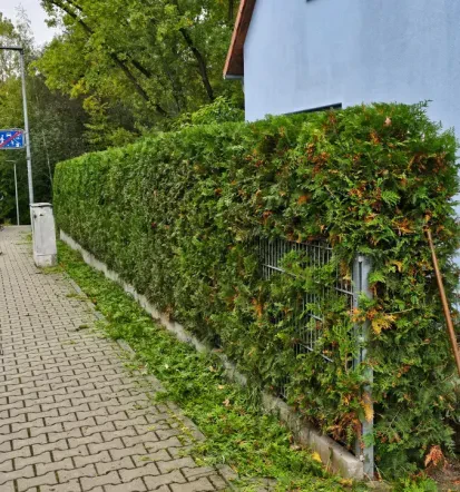 Professioneller Gartenbau mit Pflastersteinarbeiten in Gerhardshofen und Umgebung