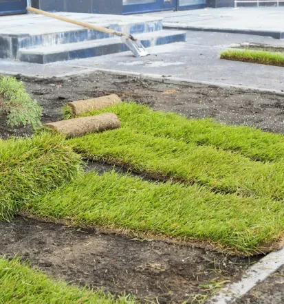Fachgerechte Hausmeister- und Gartendienste in Aarbergen und Umgebung