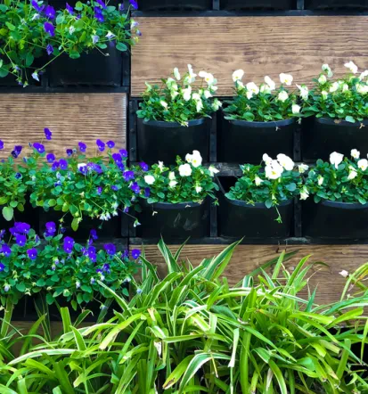 Moderne Gartengestaltung und Pflege im Landkreis München