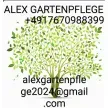 Alex Gartenpflege