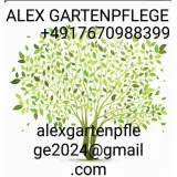 Alex Gartenpflege