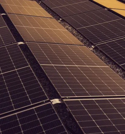 Professionelle Montage von Solaranlagen in Sachsenheim und Umgebung