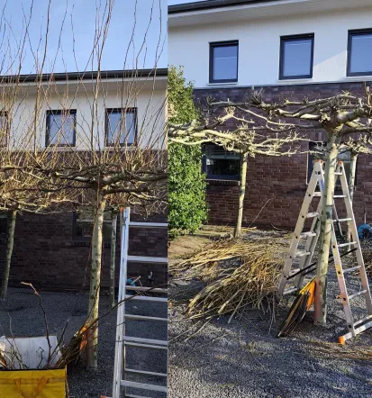 Professioneller Zaunbauer in Kaltenkirchen und Umgebung 11