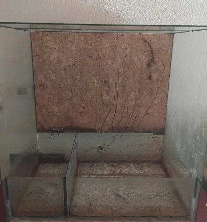 Günstige Haushaltsauflösungen und Wohnungsauflösungen in Oppenheim Mainz Bingen