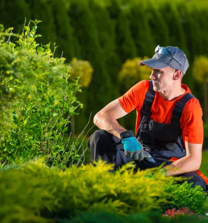 Gute Gartenarbeiten im Hochtaunuskreis