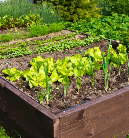 Professioneller Gartenbau in Pforzheim und Umland, Karlsruhe, Stuttgart