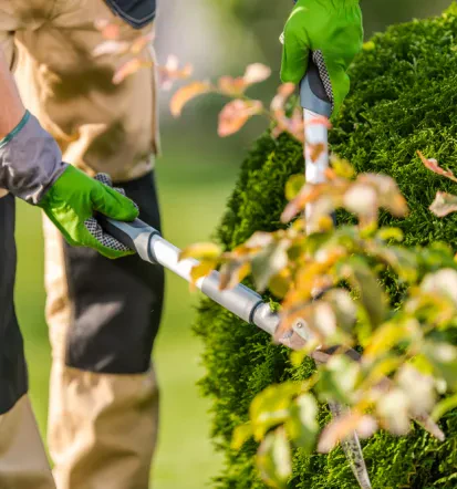 Vertrauen Sie auf die Gartenprofis im Landkreis Neumarkt in der Oberpfalz