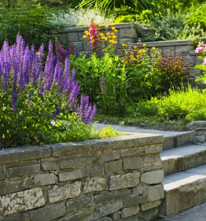 Profi Gartengestaltung im Hochtaunuskreis