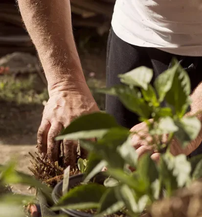 Fachgerechter Gartenbau in Pforzheim und Umland, Karlsruhe, Stuttgart