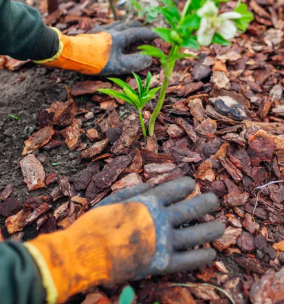 Professionelle Gartenpfleger im Landkreis Neumarkt in der Oberpfalz