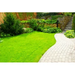 Gartengestaltung und Pflege Inh. Patrick Steen