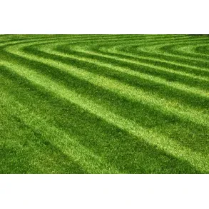Gartengestaltung Söll