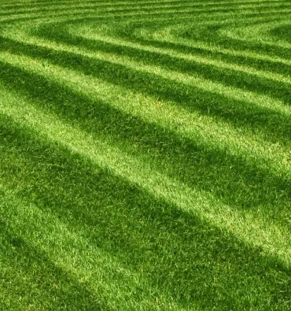 Gartenservice mit Rasenmäharbeiten im Landkreis Regensburg