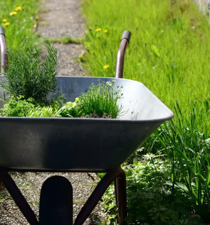 Die beste Garten- und Landschaftspflege im Landkreis Cochem-Zell