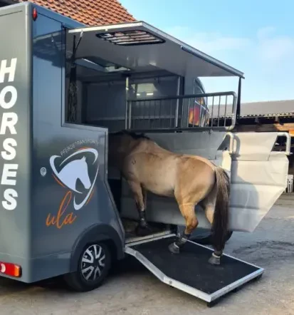 Professioneller Pferdetransport in Gelsenkirchen