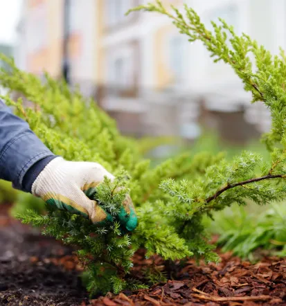 Beste Gartengestaltung im Kreis Düren