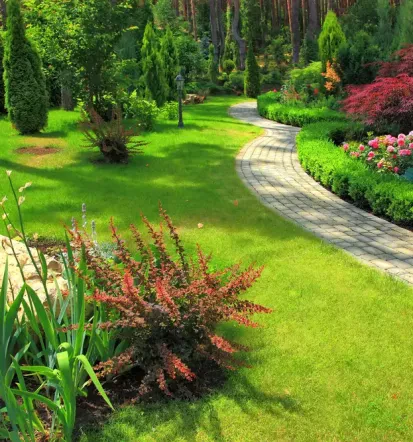 Bester Gartenbau in Neumünster, Schleswig-Holstein und Hamburg