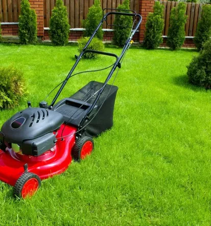 Professionelle Gartengestaltung in Neumünster, Schleswig-Holstein und Hamburg