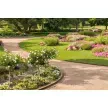 Garten und Landschaftsbau Rama