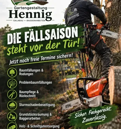 Baumfällung und Baumpflege im Raum Kleve