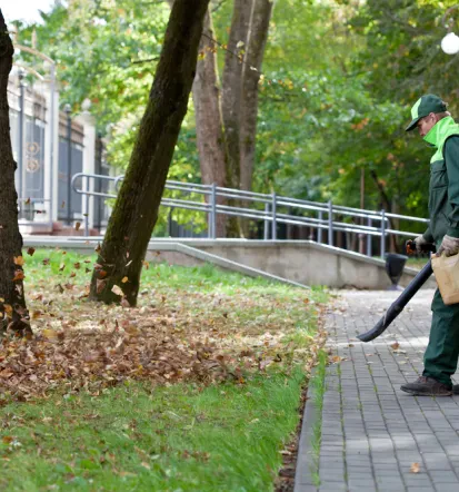 Zuverlässiger Gartenservice für berufstätige Eigentümer und größere Grundstücke in Dreieich und Umgebung
