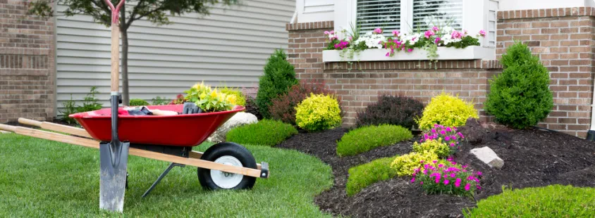 Bester Gartenbauer in Weißenfels