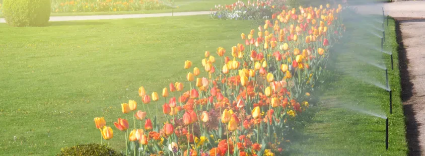 Garten- und Landschaftsbau Berlin, Nauen