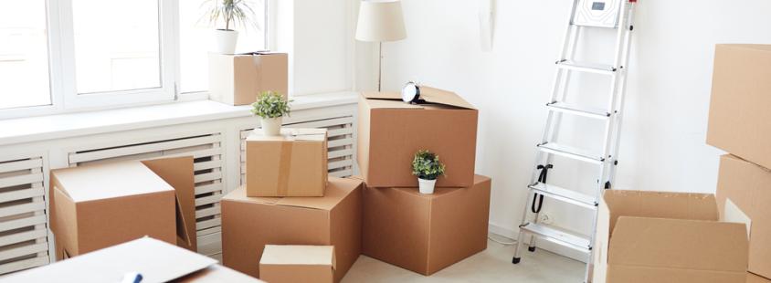 Beste Haushaltsauflösung in Chemnitz