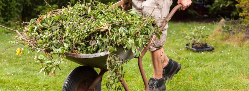 Bester Garten- und Landschaftsbau in Wiesbaden